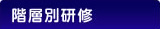 階層別研修